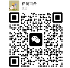 single_07